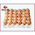 Cheap Paper Egg Carton For 30 Eggs